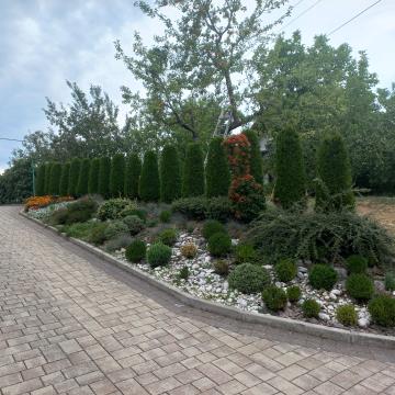 Magda Marinšek, Zagon